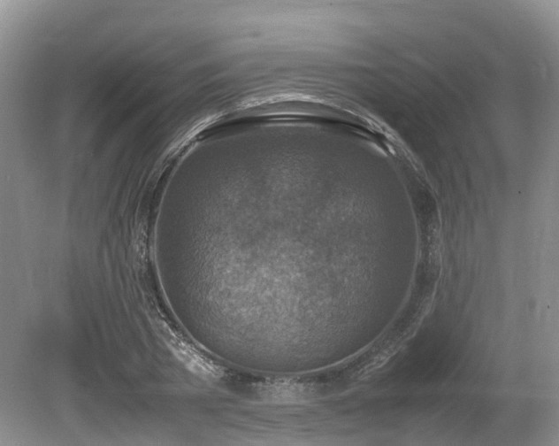 X0000080140785200612081255