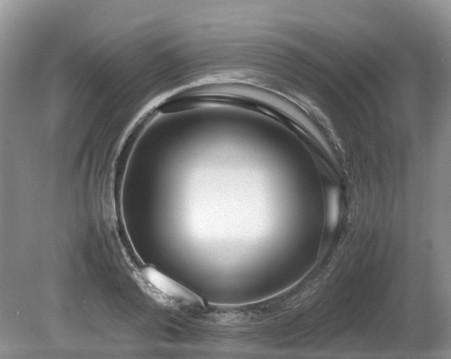 X0000080140792200612081254