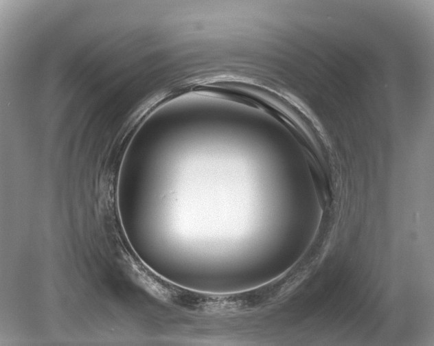X0000080140793200612081254