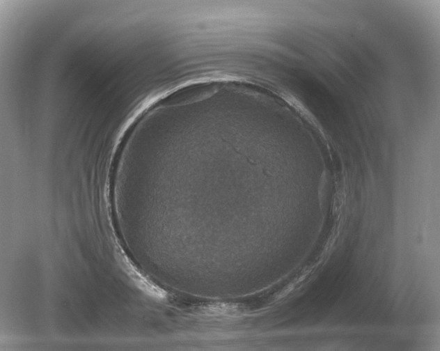 X0000080140797200612081254