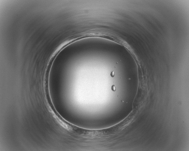 X0000080140803200612081254