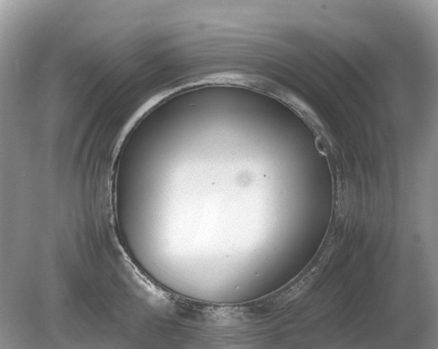 X0000080140808200612081254