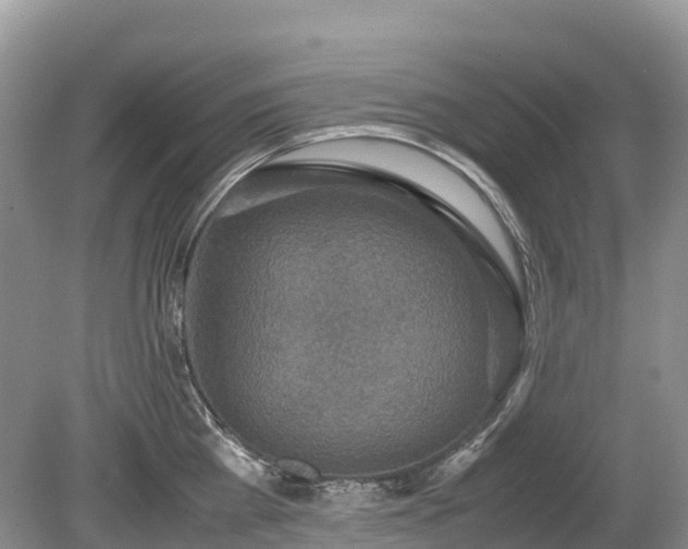 X0000080140809200612081254