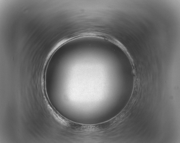 X0000080140811200612081254