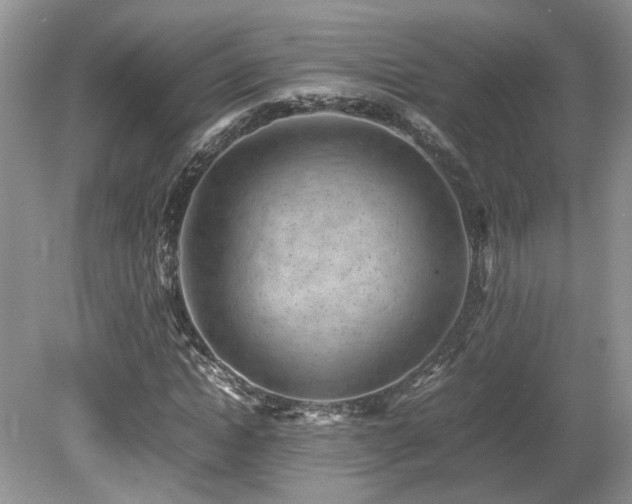 X0000080140822200612081253
