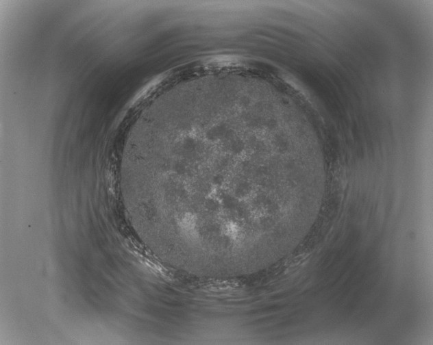 X0000080140823200612081253