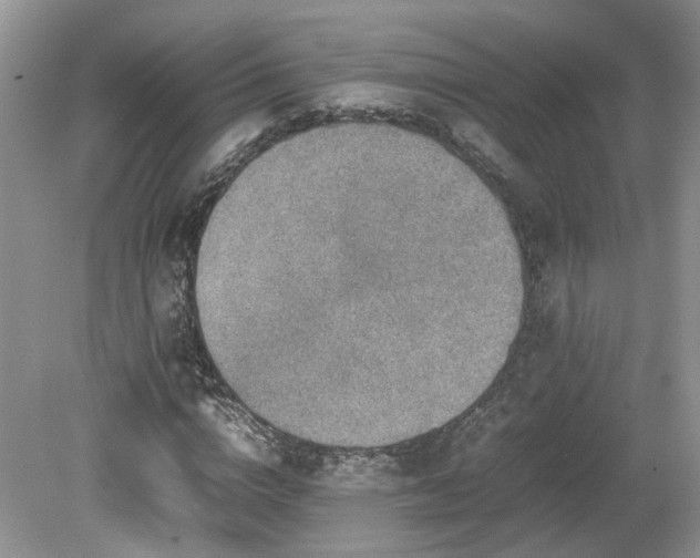 X0000080140824200612081253