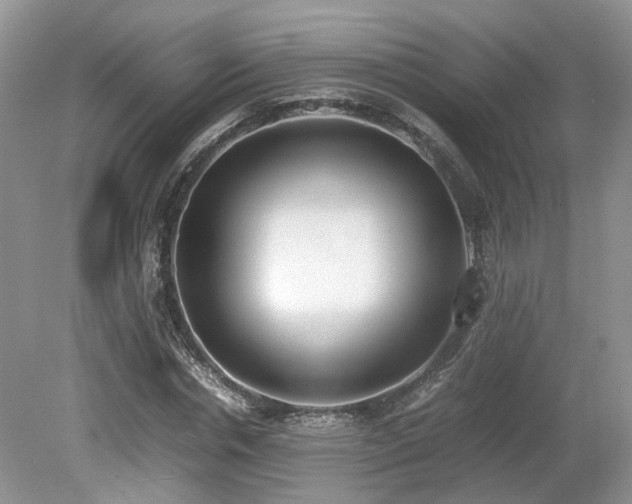 X0000080140826200612081253