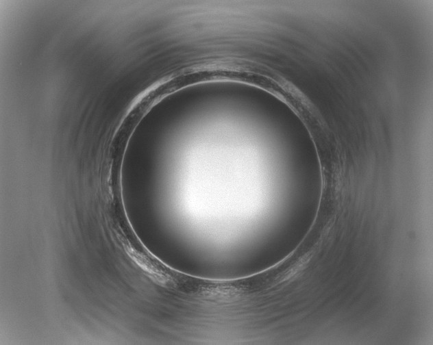X0000080140830200612081253