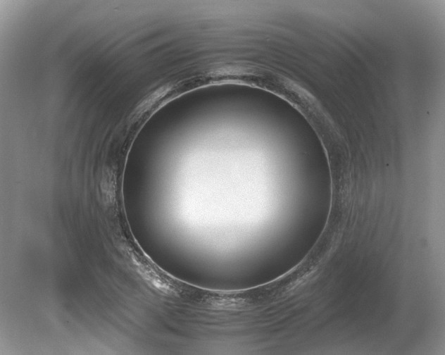 X0000080140833200612081254