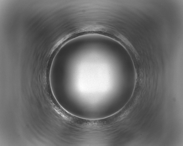 X0000080140834200612081254