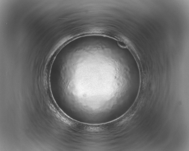 X0000080140835200612081254