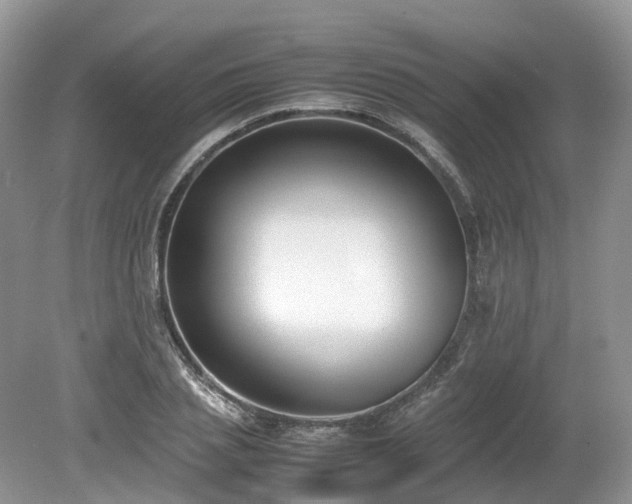 X0000080140837200612081254