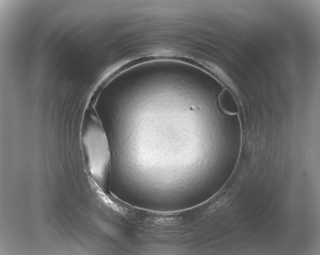 X0000080140839200612081254