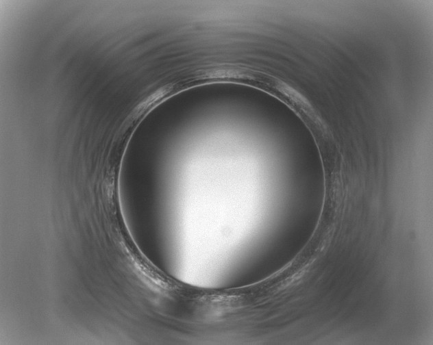 X0000080140841200612081254