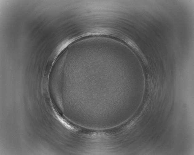 X0000080140842200612081254