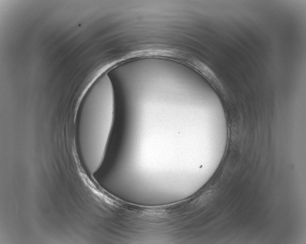 X0000080140844200612081254