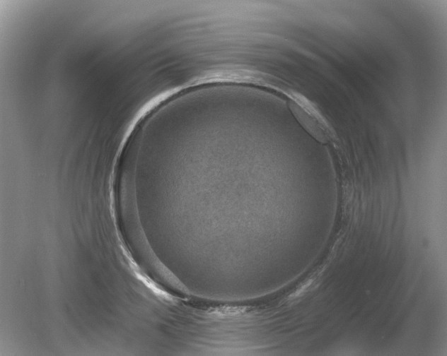 X0000080140846200612081254
