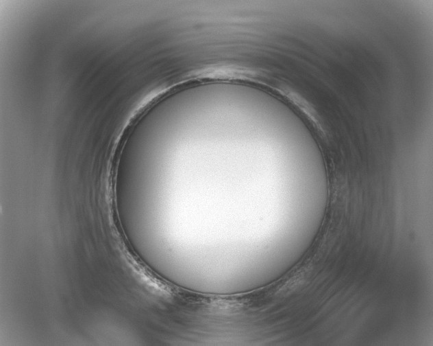 X0000080140848200612081254