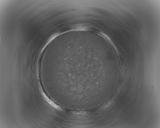 X0000080140851200612081254