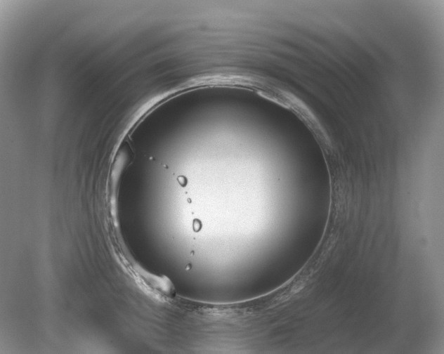 X0000080140852200612081254