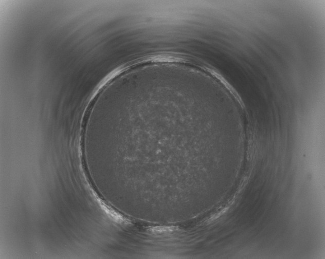 X0000080140853200612081254