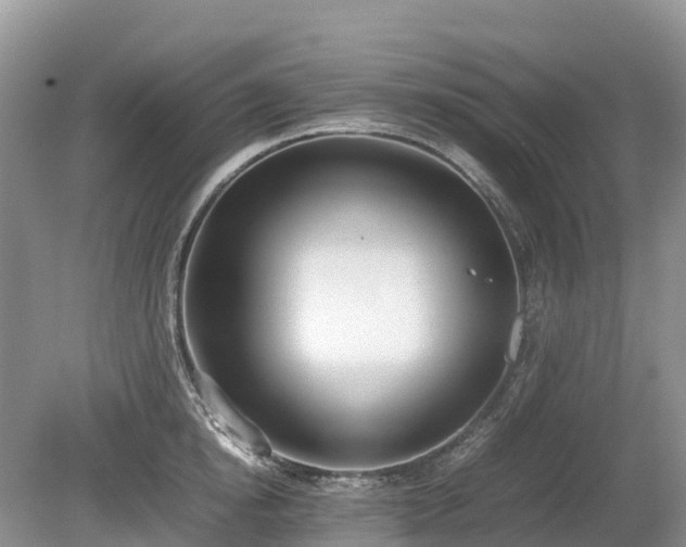 X0000080140854200612081254