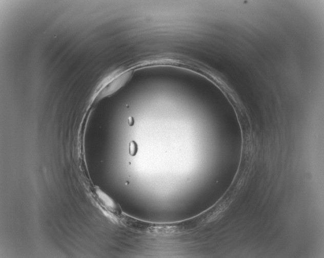 X0000080140858200612081254