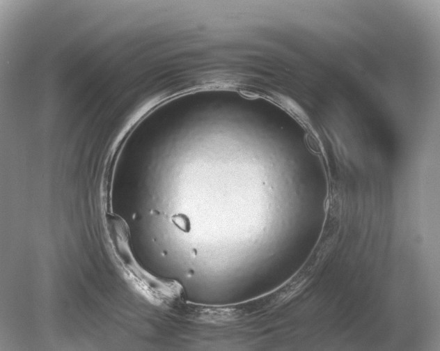 X0000080140859200612081254