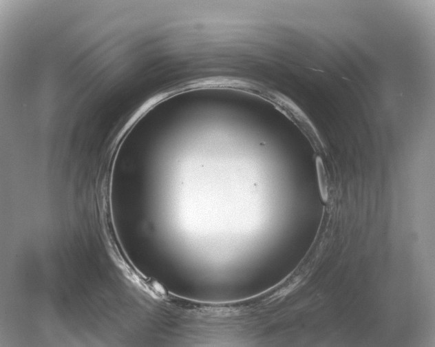 X0000080140860200612081254