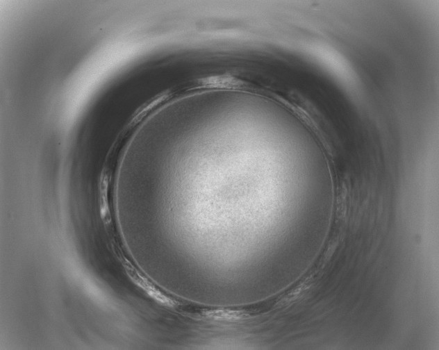 X0000080140862200612081254