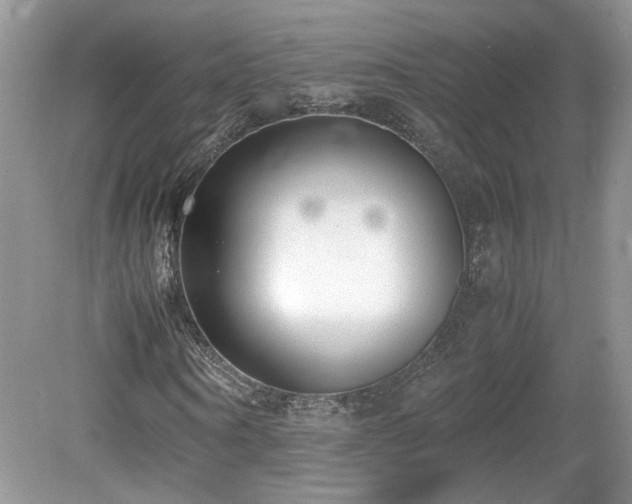 X0000080140866200612081253