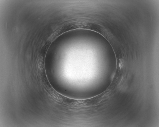 X0000080140867200612081253