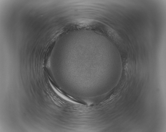 X0000080140868200612081253