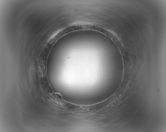 X0000080140871200612081253