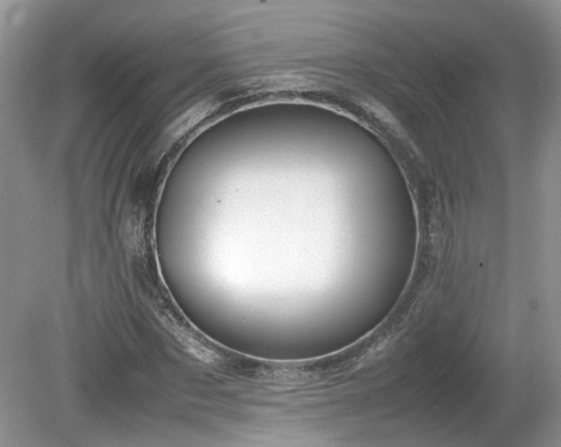 X0000080140873200612081253