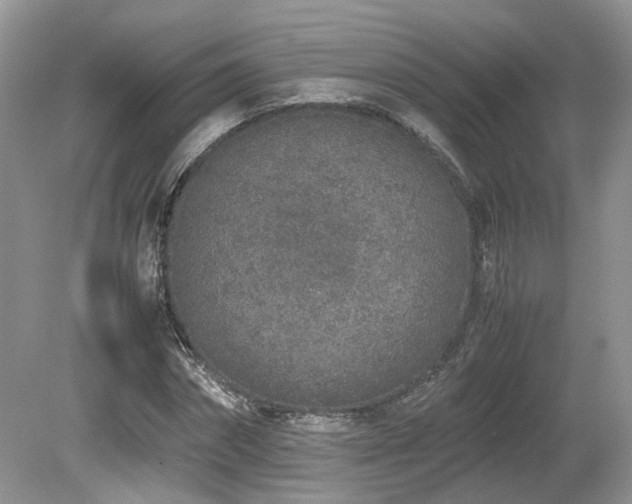 X0000080140874200612081253