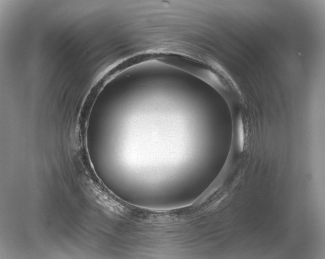 X0000080140876200612081253