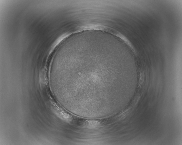 X0000080140878200612081253