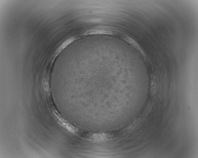 X0000080140882200612081253