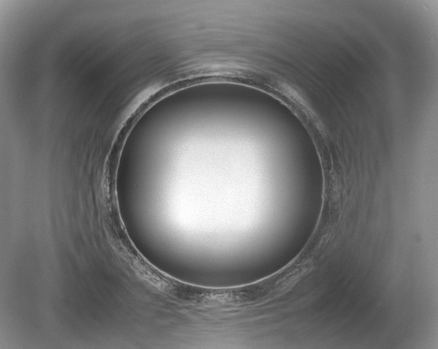 X0000080140883200612081253