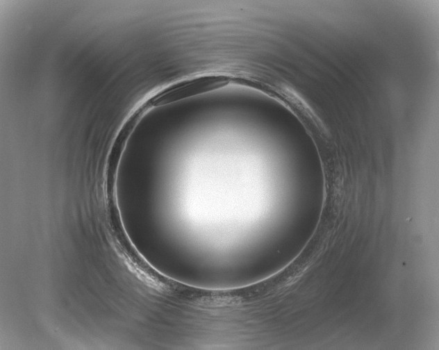 X0000080140884200612081253