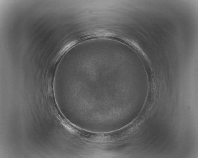 X0000080140889200612081253