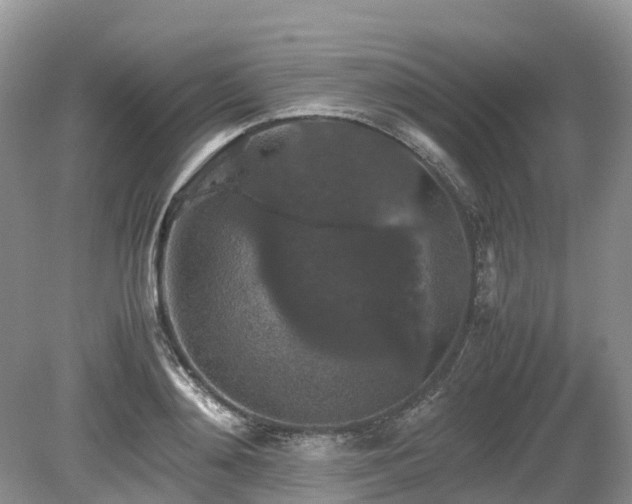 X0000080140892200612081253