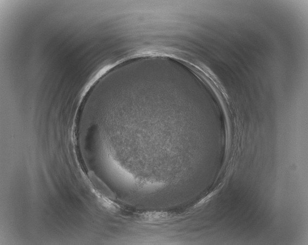 X0000080140893200612081253
