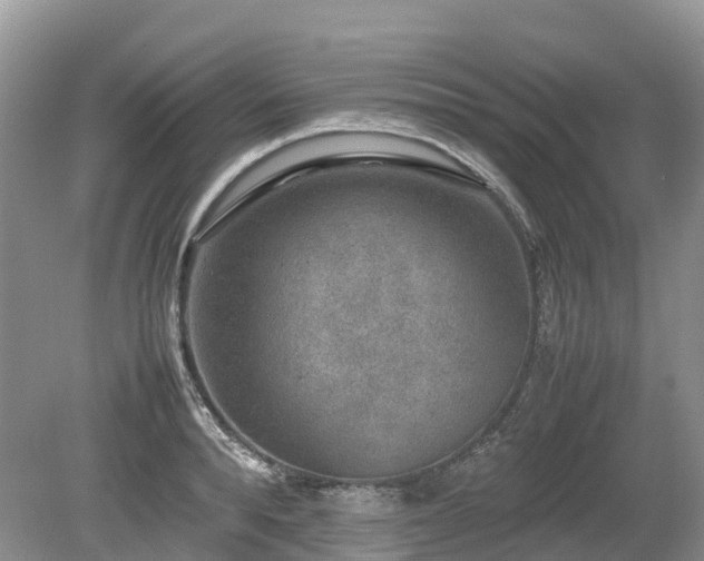 X0000080140896200612081253