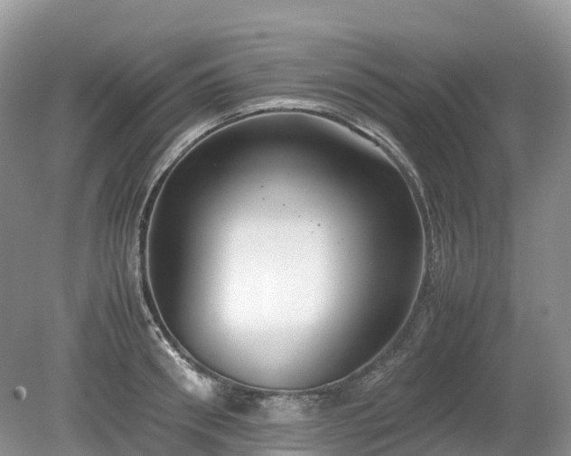 X0000080140898200612081253