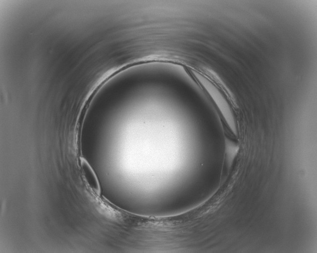 X0000080140900200612081253