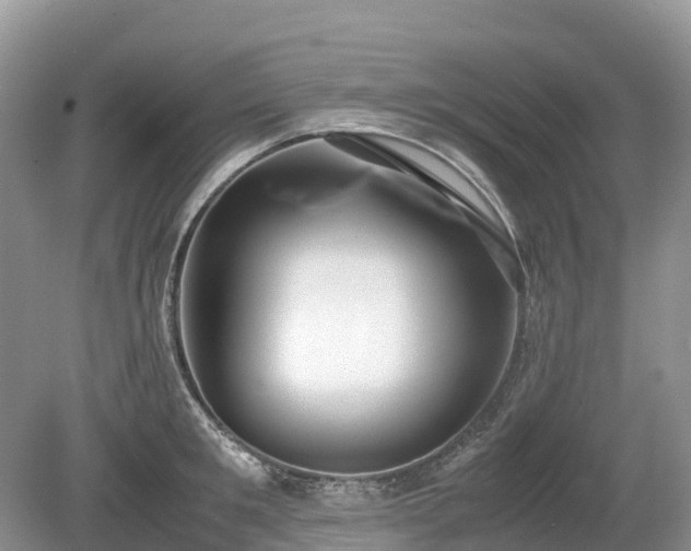 X0000080140901200612081253