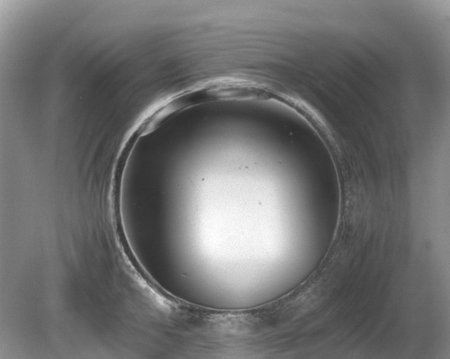 X0000080140902200612081253